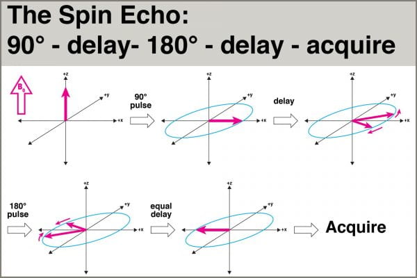 Fig 7: The Spin Echo