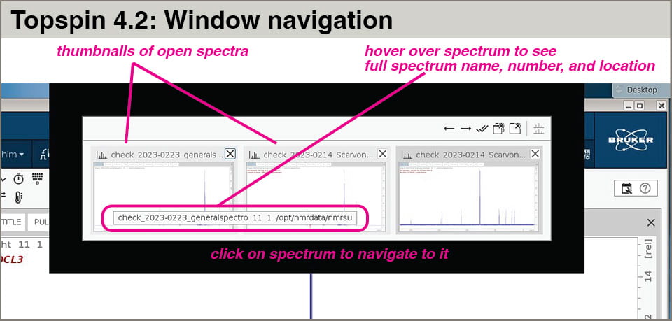 Topspin 4.2 interface - windows for experiment/spectrum selection